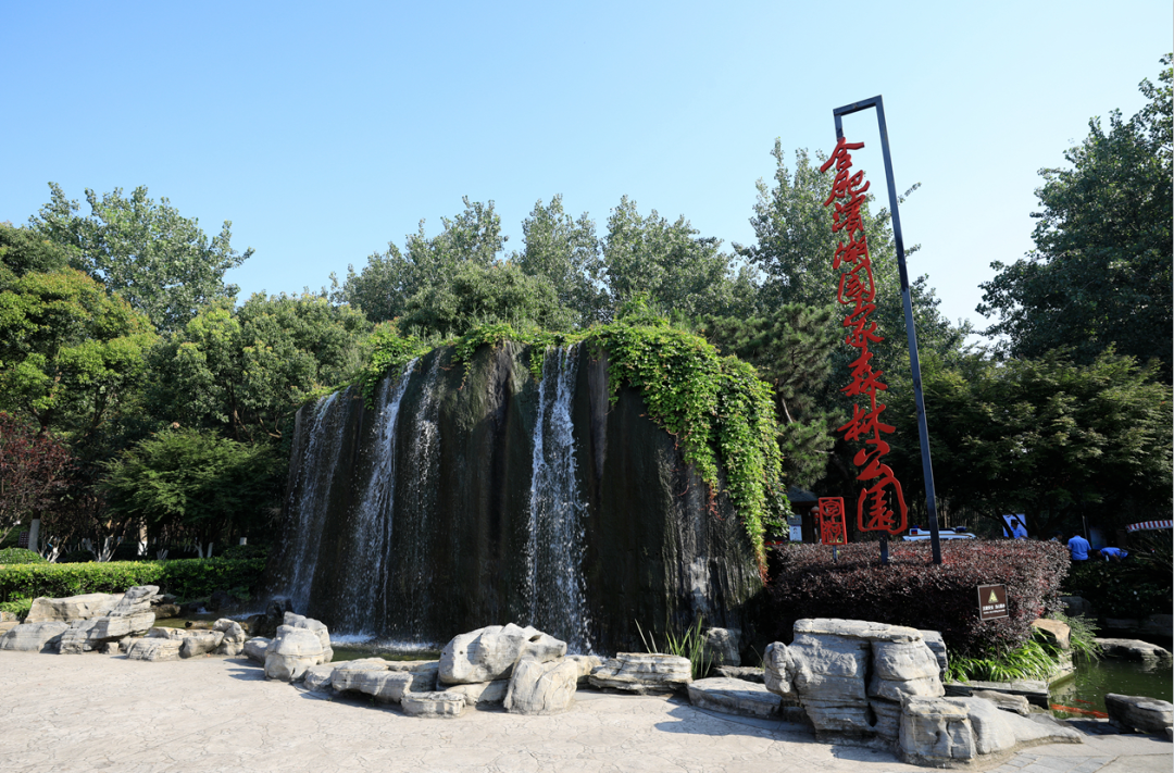東庵森林公園游玩攻略_英語(yǔ)嘉賓怎么說(shuō)_tcl怎么安裝騰訊視頻tv版
