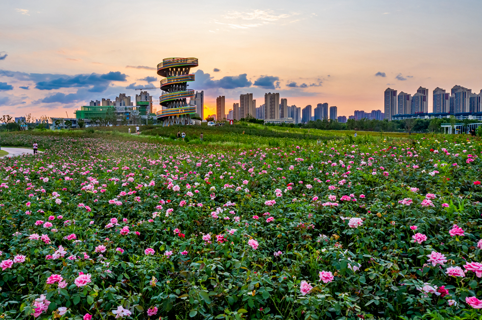 東庵森林公園游玩攻略_tcl怎么安裝騰訊視頻tv版_英語(yǔ)嘉賓怎么說(shuō)