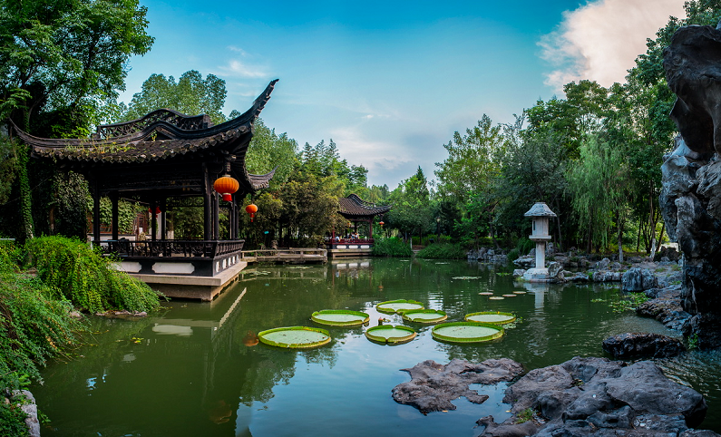 東庵森林公園游玩攻略_tcl怎么安裝騰訊視頻tv版_英語(yǔ)嘉賓怎么說(shuō)