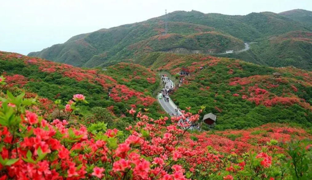 瀏陽白沙古鎮值得去嗎_瀏陽白沙鎮有什么好玩的地方_瀏陽白沙古鎮旅游攻略