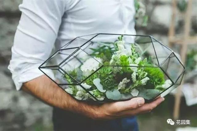 地栽多肉花園圖片欣賞_地栽多肉花園_多肉地栽有什么要求