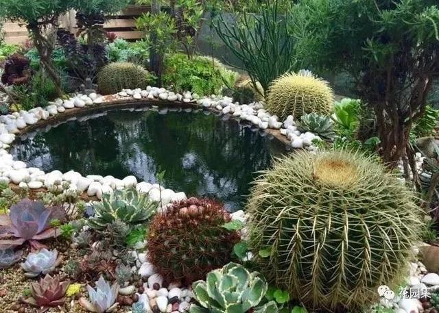 地栽多肉花園_地栽多肉花園圖片欣賞_多肉地栽有什么要求