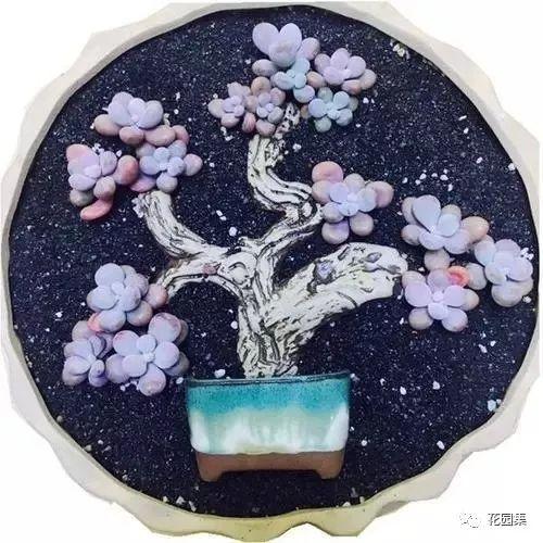地栽多肉花園圖片欣賞_地栽多肉花園_多肉地栽有什么要求