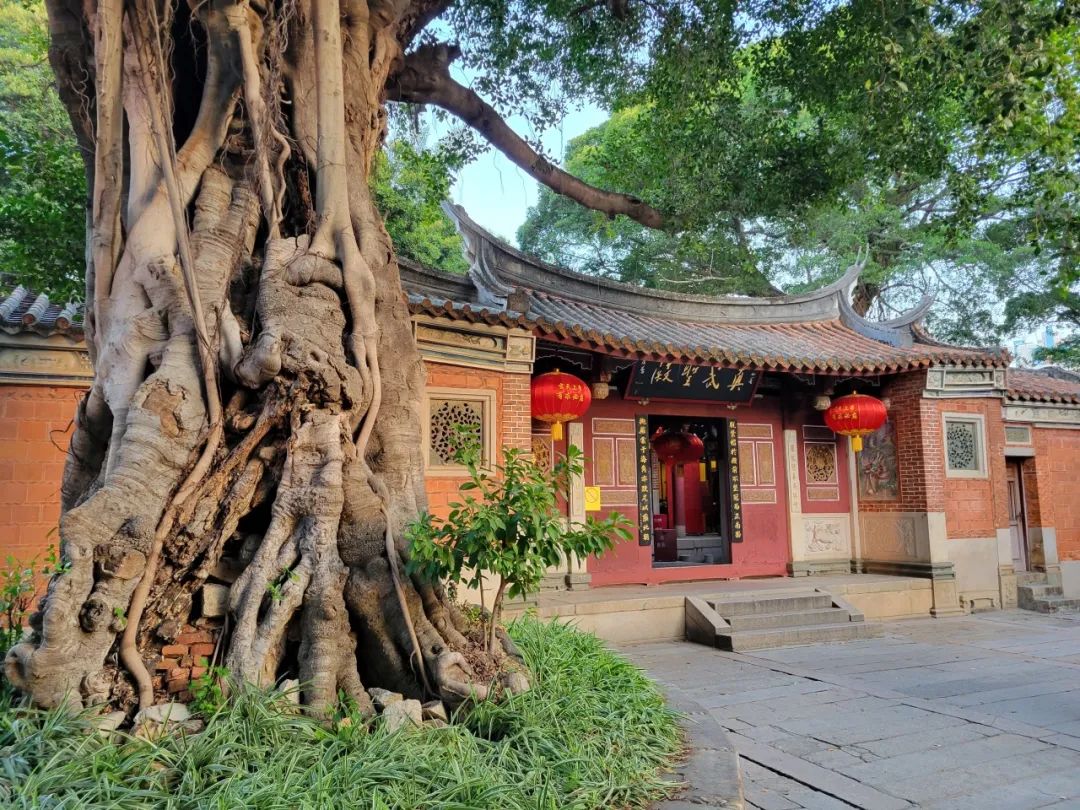 泉州清源山景點(diǎn)講解_泉州旅游清源山_泉州清源山上山攻略