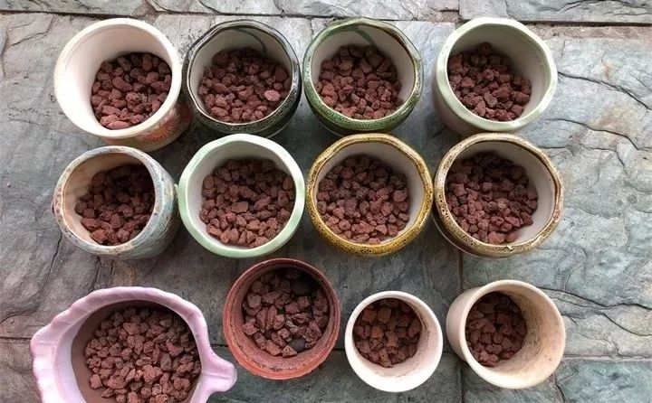 純土養多肉_養多肉用的土_多肉什么土比較好養活