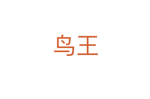 鳥(niǎo)王