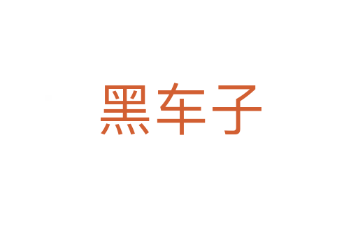 黑車子