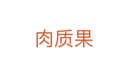 肉質果