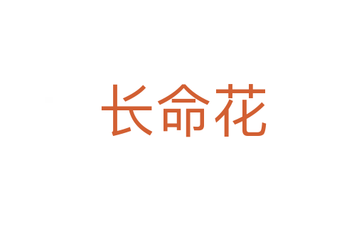 長(zhǎng)命花