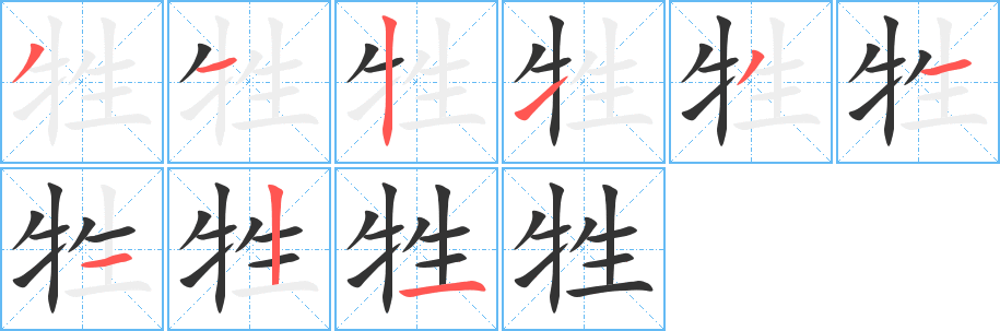 牲的筆順分步演示