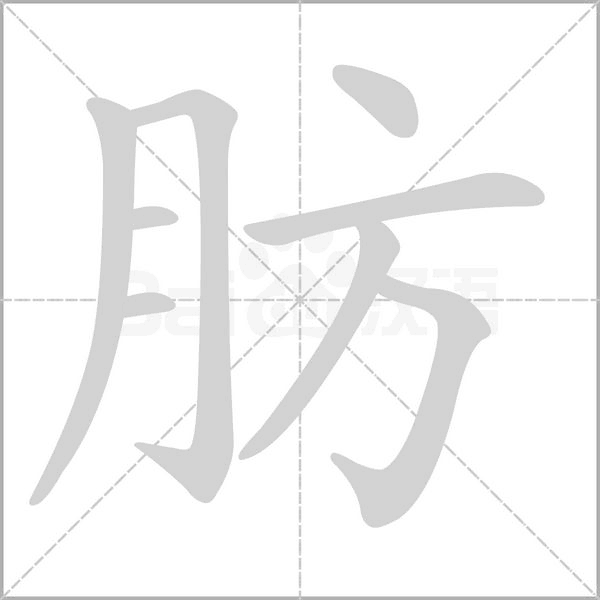 肪的筆順動畫演示