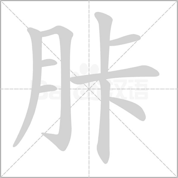 胩的筆順動畫演示