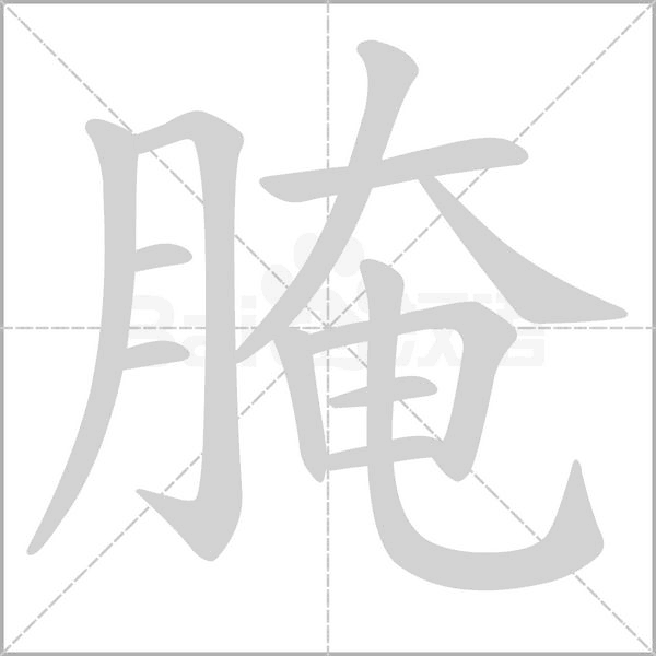 腌的筆順動(dòng)畫演示