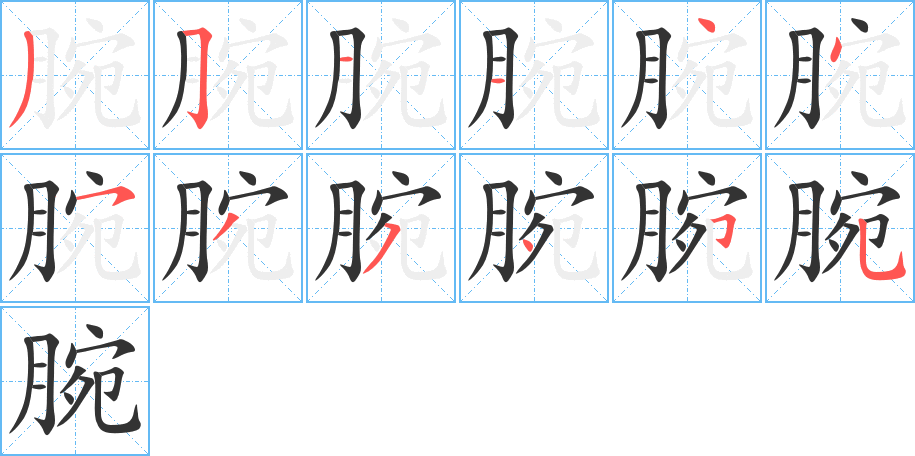 腕的筆順?lè)植窖菔?>
					
                    <hr />
                    <h2>腕的基本信息</h2>
                    <div   id=
