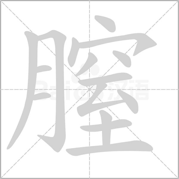 膣的筆順動(dòng)畫演示
