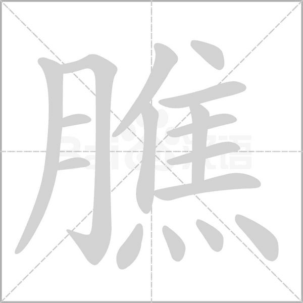 膲的筆順動畫演示