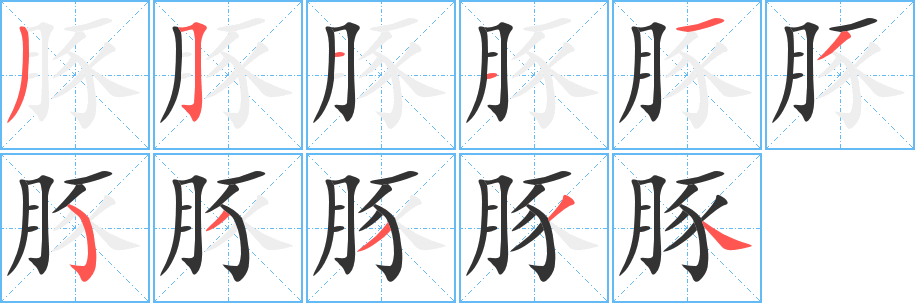 豚的筆順分步演示