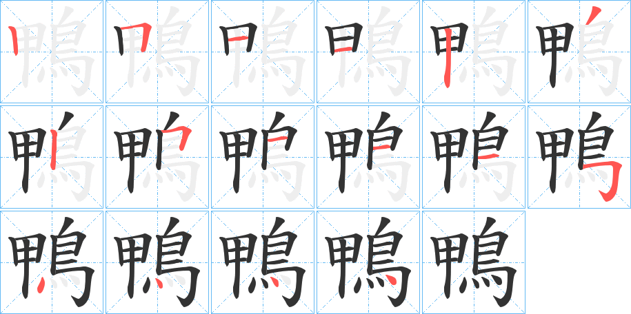 鴨的筆順分步演示
